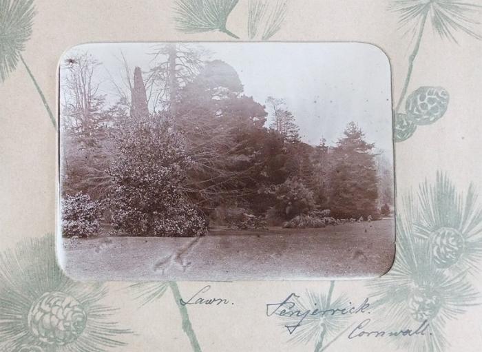 DrRPfeiffer-1899 204